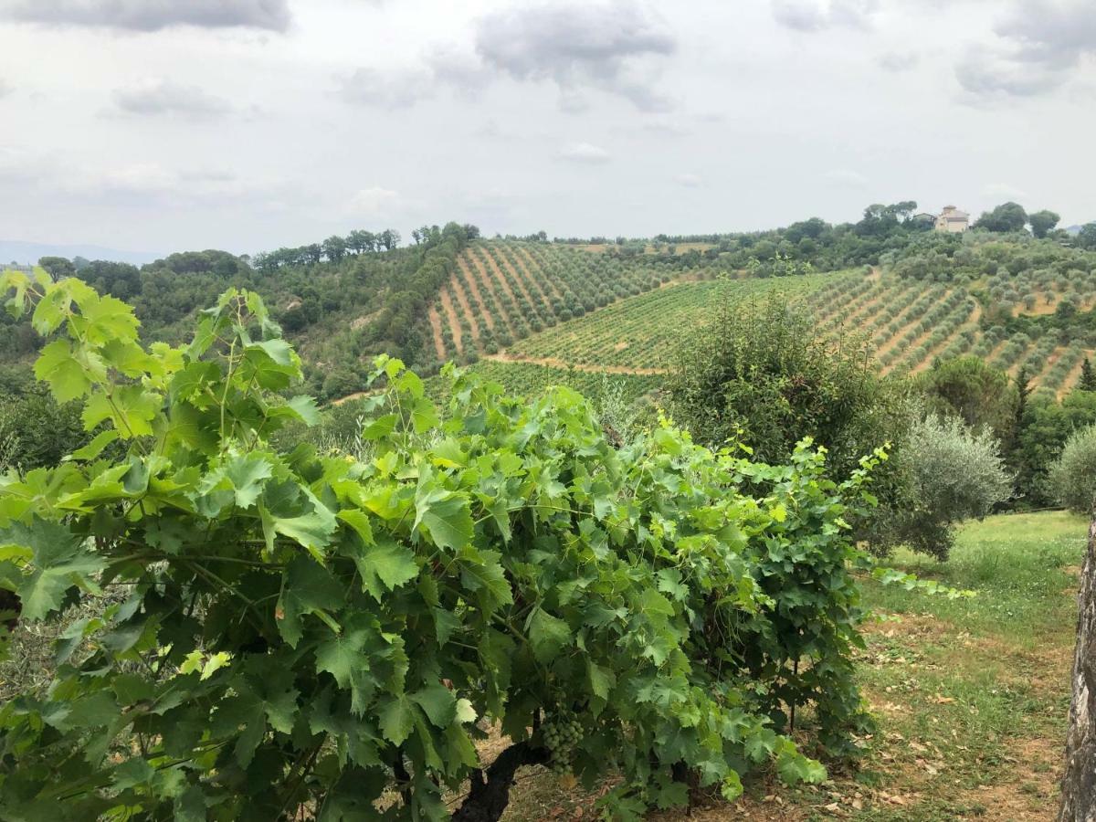 La Valle Di Anna ラストラ・ア・シーニャ エクステリア 写真
